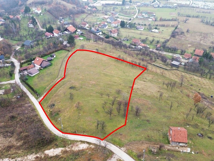 Image alternative text