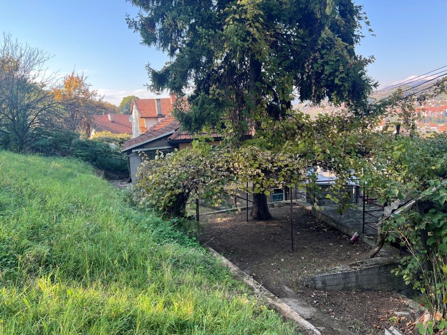 Image alternative text