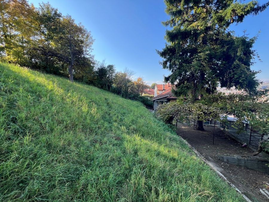 Image alternative text